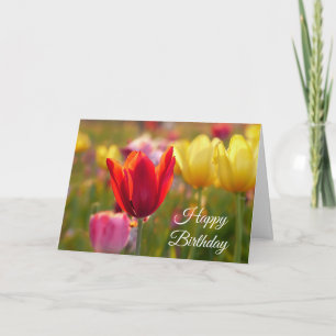 Happy Birthday Hübsch Tulips Card Karte