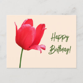 Happy Birthday hübsche rote Tulpe Blumen einfache  Postkarte