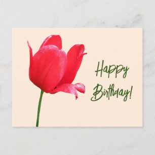 Happy Birthday hübsche rote Tulpe Blumen einfache  Postkarte