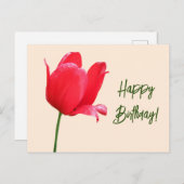 Happy Birthday hübsche rote Tulpe Blumen einfache  Postkarte (Vorne/Hinten)