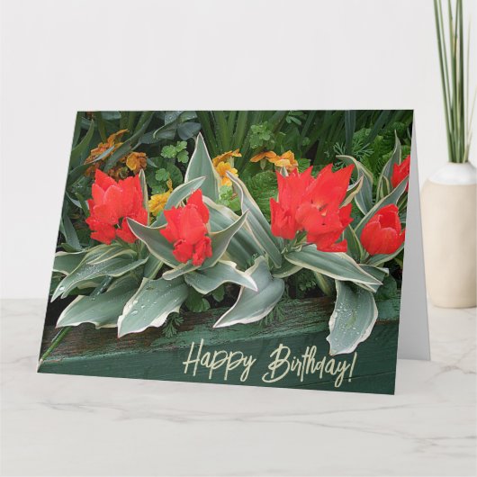 Happy Birthday hübsche Tulpen Blumengestylt Karte (Vorderseite)