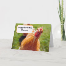 Happy Birthday Human Brown Chicken Hen Nah-up