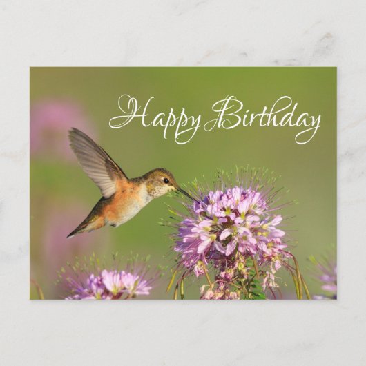 Happy Birthday Hummingbird Postkarte (Vorderseite)