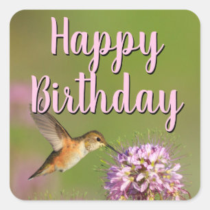 Happy Birthday Hummingbird Quadratischer Aufkleber