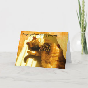 Happy Birthday humorvolle Katzenkarte Feiertagskarte