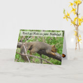 Happy Birthday Humour Funny Squirrel Karte (Gelbe Blume)