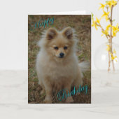 Happy Birthday Hund Spitz Geburtstag wünscht Karte (Gelbe Blume)