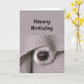 Happy Birthday Hund unter Decke in Bett Karte (Gelbe Blume)