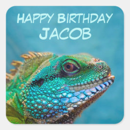 Happy Birthday Iguana Quadratischer Aufkleber