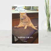 Happy Birthday in Cat Years Karte (Rückseite)