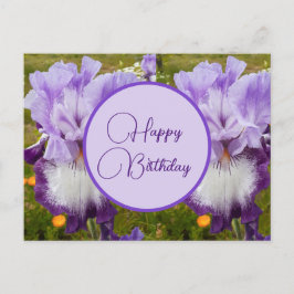 Happy Birthday Iris floral Ladys Postcard Postkarte