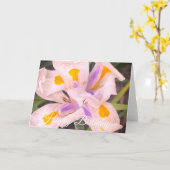 Happy Birthday Iris Flower Karte (Gelbe Blume)