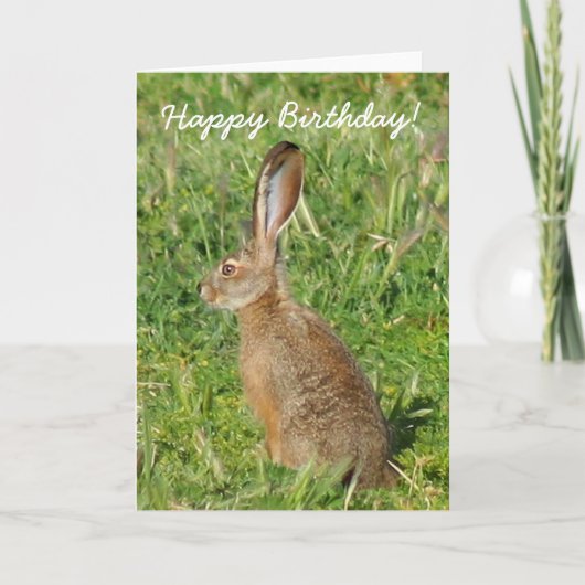 Happy Birthday Jack Rabbit Grußkarte Karte (Vorderseite)