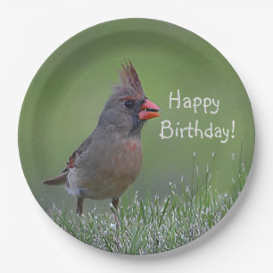 Happy Birthday Kardinal Pappteller