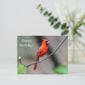 Happy Birthday Kardinal Postcard Postkarte (Stehend Vorderseite)