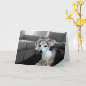 HAPPY BIRTHDAY KARTE (Gelbe Blume)