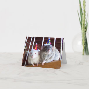 Happy Birthday Karte