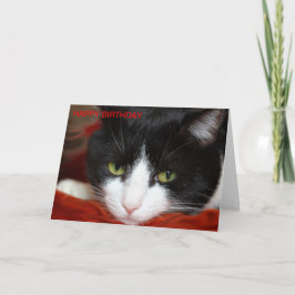 HAPPY BIRTHDAY KARTE