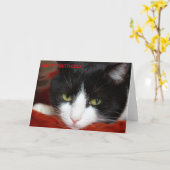 HAPPY BIRTHDAY KARTE (Gelbe Blume)