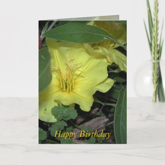 Happy Birthday Karte (Vorderseite)
