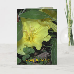 Happy Birthday Karte