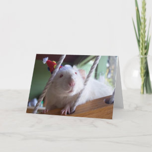 Happy Birthday Karte