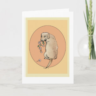 'Happy Birthday'-Karte mit Golden Retriever Karte