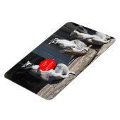 Happy Birthday Katta Magnet (Linke Seite)