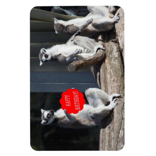 Happy Birthday Katta Magnet (Vertikal)