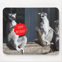 Happy Birthday Katta