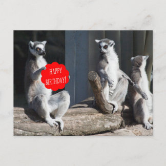 Happy Birthday Katta Postkarte