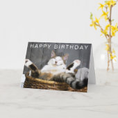 Happy Birthday | Katze im Bett Karte (Gelbe Blume)