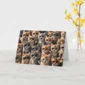 Happy Birthday Katzen von der Gruppe Karte (Gelbe Blume)