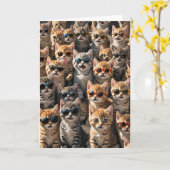 Happy Birthday Katzen von der Gruppe Karte (Gelbe Blume)