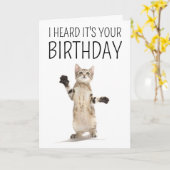 Happy Birthday | Kitten auf Weiß Karte (Gelbe Blume)