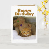 Happy Birthday Kitten Karte (Gelbe Blume)