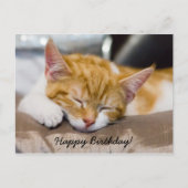 Happy Birthday Kitten Postkarte (Vorderseite)