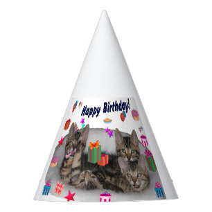 Happy Birthday Kittens Partyhütchen