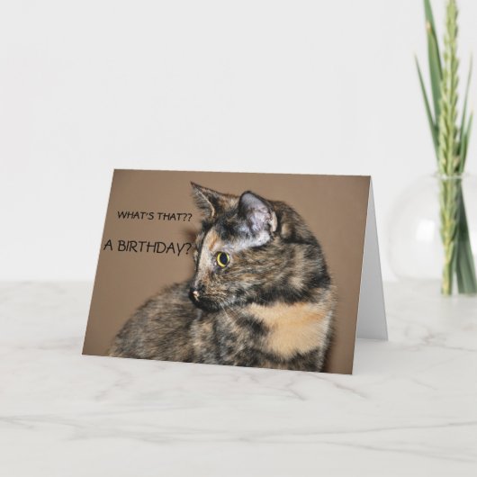 Happy Birthday Kitty Card Karte (Vorderseite)