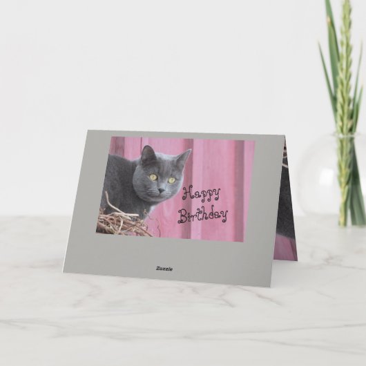 Happy Birthday Kitty Cat Card Karte (Rückseite)