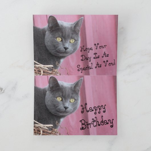 Happy Birthday Kitty Cat Card Karte (Innenseite)