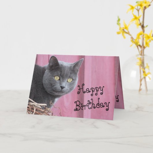 Happy Birthday Kitty Cat Card Karte (Gelbe Blume)