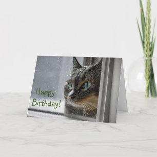 Happy Birthday Kitty Cat Dankeskarte