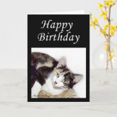 Happy Birthday Kitty Karte (Gelbe Blume)