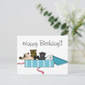 Happy Birthday Kitty Postcard Postkarte (Stehend Vorderseite)