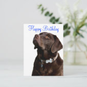 Happy Birthday Labrador Retriever Dog Post Card Postkarte (Stehend Vorderseite)