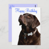 Happy Birthday Labrador Retriever Dog Post Card Postkarte (Vorne/Hinten)