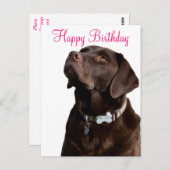 Happy Birthday Labrador Retriever Dog Post Card Postkarte (Vorne/Hinten)