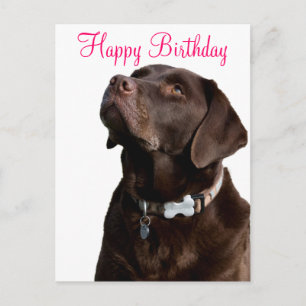 Happy Birthday Labrador Retriever Dog Post Card Postkarte