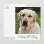 Happy Birthday Labrador Retriever Dog Post Card Postkarte (Vorne/Hinten)